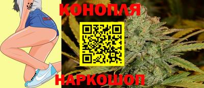 прущие грибы Ставрополь
