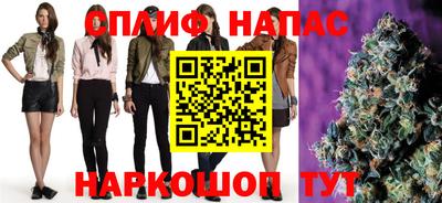прущие грибы Ставрополь